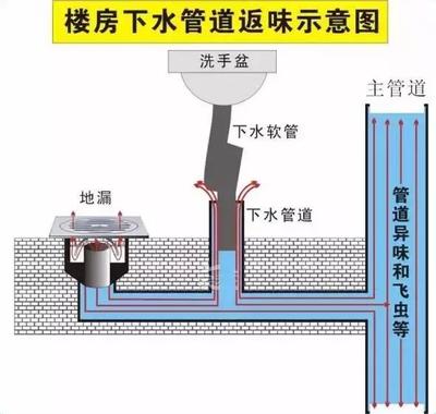 告別廚衛臭味？先從讀懂地漏開始！